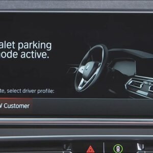 Valet mode removal BMW